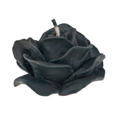 Rosenblüte schwarz