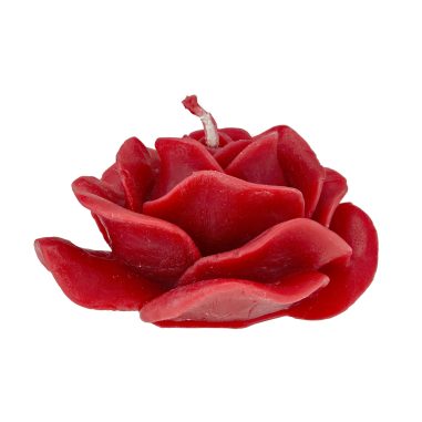 Rosenblüte groß rot
