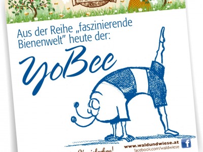 YoBEE - Bienentypen